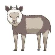 ヒメ日記 2025/07/06 01:51 投稿 りか 愛知弥富ちゃんこ