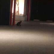 ヒメ日記 2025/07/07 02:41 投稿 りか 愛知弥富ちゃんこ