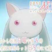 ヒメ日記 2025/08/20 22:21 投稿 りか 愛知弥富ちゃんこ