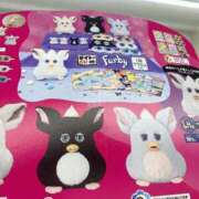 ヒメ日記 2025/11/05 23:41 投稿 りか 愛知弥富ちゃんこ