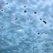 ヒメ日記 2025/11/20 14:01 投稿 りか 愛知弥富ちゃんこ