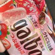 ヒメ日記 2026/04/11 14:21 投稿 りか 愛知弥富ちゃんこ