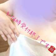 ヒメ日記 2026/04/14 09:03 投稿 りか 愛知弥富ちゃんこ