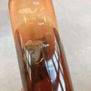 ヒメ日記 2026/04/14 14:09 投稿 りか 愛知弥富ちゃんこ