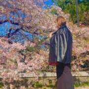 ヒメ日記 2025/04/07 13:41 投稿 あやね 大阪ぽっちゃりマニア 十三店