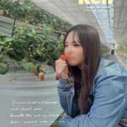 ヒメ日記 2025/04/07 11:12 投稿 れん（花嫁） Yシャツと私