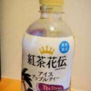 ヒメ日記 2025/08/12 19:17 投稿 わかね 小岩人妻花壇