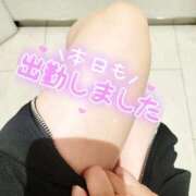 ヒメ日記 2025/09/11 10:26 投稿 わかね 小岩人妻花壇