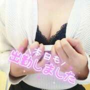 ヒメ日記 2025/11/20 10:30 投稿 わかね 小岩人妻花壇