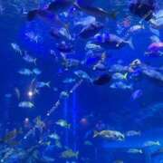 ヒメ日記 2025/08/25 19:57 投稿 はるひ マリン宮殿雄琴店