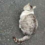 ヒメ日記 2025/08/26 20:17 投稿 はるひ マリン宮殿雄琴店