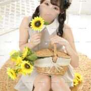 くみ 今日は何の日？🌻 The White