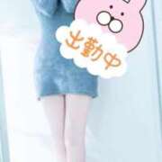 ヒメ日記 2026/02/09 09:17 投稿 りく clubさくら難波店