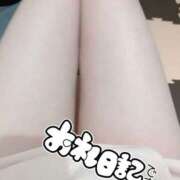 ヒメ日記 2026/02/09 11:17 投稿 りく clubさくら難波店