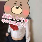 ヒメ日記 2025/11/19 11:51 投稿 りく 奥様さくら難波店