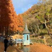 ヒメ日記 2025/02/15 17:49 投稿 ゆうり 君とふわふわプリンセスin立川