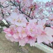 ヒメ日記 2025/03/11 08:40 投稿 ゆうり 君とふわふわプリンセスin立川