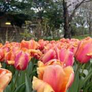 ヒメ日記 2025/03/11 14:47 投稿 ゆうり 君とふわふわプリンセスin立川