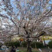 一条 妃 おはよう CASA BIANCA（カーサ・ビアンカ）