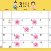 ヒメ日記 2025/02/25 19:58 投稿 マコト リッチドールなんば店