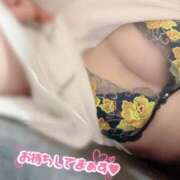 ヒメ日記 2025/02/23 16:45 投稿 さくら ロイヤルヴィトン(宇都宮)