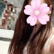 ヒメ日記 2025/03/24 10:15 投稿 さくら ロイヤルヴィトン(宇都宮)