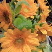 ヒメ日記 2025/08/13 12:24 投稿 藤川 熟女の風俗最終章 横浜本店