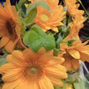 ヒメ日記 2025/09/02 20:34 投稿 藤川 熟女の風俗最終章 横浜本店