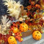 ヒメ日記 2025/10/07 22:11 投稿 藤川 熟女の風俗最終章 横浜本店