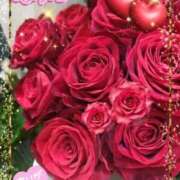 ヒメ日記 2025/12/18 22:29 投稿 藤川 熟女の風俗最終章 横浜本店