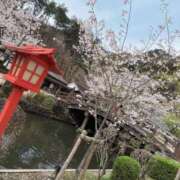 ヒメ日記 2026/04/06 15:34 投稿 萌叶-もか【FG系列】 ほんとうの人妻 横浜本店