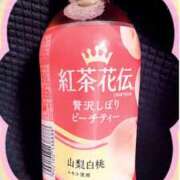 ヒメ日記 2025/02/12 12:24 投稿 あおい 逆電車ごっこ ～GLAMOROUS TRAIN～