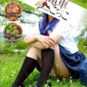 ヒメ日記 2026/06/25 08:40 投稿 あおい 逆電車ごっこ ～GLAMOROUS TRAIN～