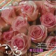 ヒメ日記 2024/12/19 09:42 投稿 宮野　とうこ ソープランド蜜 人妻・美熟女専門店