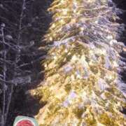 ヒメ日記 2024/12/25 19:07 投稿 宮野　とうこ ソープランド蜜 人妻・美熟女専門店