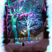 ヒメ日記 2025/01/31 09:22 投稿 宮野　とうこ ソープランド蜜 人妻・美熟女専門店