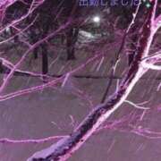 ヒメ日記 2025/01/31 19:22 投稿 宮野　とうこ ソープランド蜜 人妻・美熟女専門店