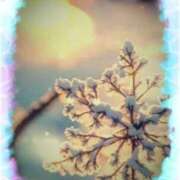 ヒメ日記 2025/02/25 09:04 投稿 宮野　とうこ ソープランド蜜 人妻・美熟女専門店