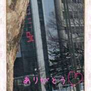 ヒメ日記 2025/03/01 11:22 投稿 宮野　とうこ ソープランド蜜 人妻・美熟女専門店