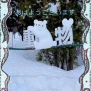 ヒメ日記 2025/03/06 08:18 投稿 宮野　とうこ ソープランド蜜 人妻・美熟女専門店