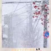 ヒメ日記 2025/03/07 09:22 投稿 宮野　とうこ ソープランド蜜 人妻・美熟女専門店