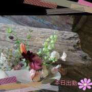 ヒメ日記 2025/03/20 10:04 投稿 宮野　とうこ ソープランド蜜 人妻・美熟女専門店