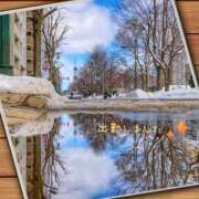 ヒメ日記 2025/03/22 18:48 投稿 宮野　とうこ ソープランド蜜 人妻・美熟女専門店