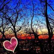 ヒメ日記 2025/03/26 10:03 投稿 宮野　とうこ ソープランド蜜 人妻・美熟女専門店