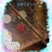 ヒメ日記 2025/04/03 18:42 投稿 宮野　とうこ ソープランド蜜 人妻・美熟女専門店