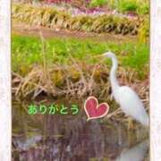 ヒメ日記 2025/04/04 13:02 投稿 宮野　とうこ ソープランド蜜 人妻・美熟女専門店