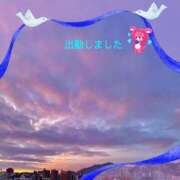 ヒメ日記 2025/04/05 18:42 投稿 宮野　とうこ ソープランド蜜 人妻・美熟女専門店