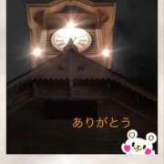 ヒメ日記 2025/04/08 08:22 投稿 宮野　とうこ ソープランド蜜 人妻・美熟女専門店