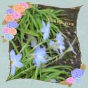 ヒメ日記 2025/04/09 09:46 投稿 宮野　とうこ ソープランド蜜 人妻・美熟女専門店