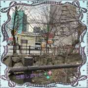 ヒメ日記 2025/04/10 18:42 投稿 宮野　とうこ ソープランド蜜 人妻・美熟女専門店